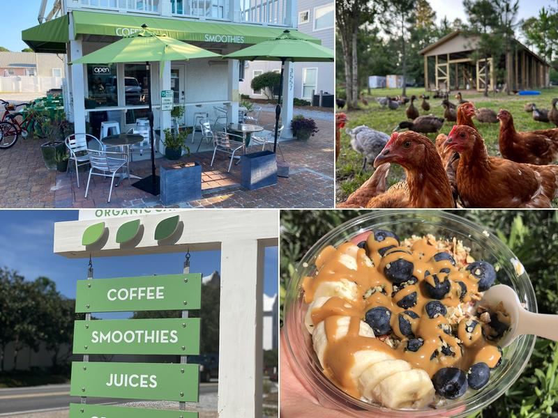 Prema Organic Café in Seagrove Beach on Scenic Highway 30A