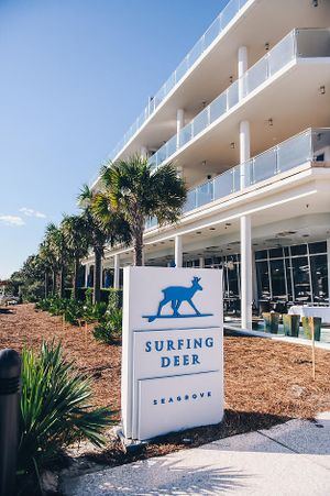 Surfing Deer in Seagrove Beach on Scenic Highway 30A