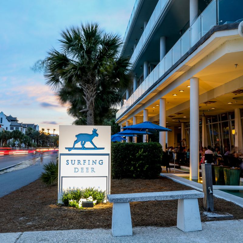 Surfing Deer in Seagrove Beach on Scenic Highway 30A
